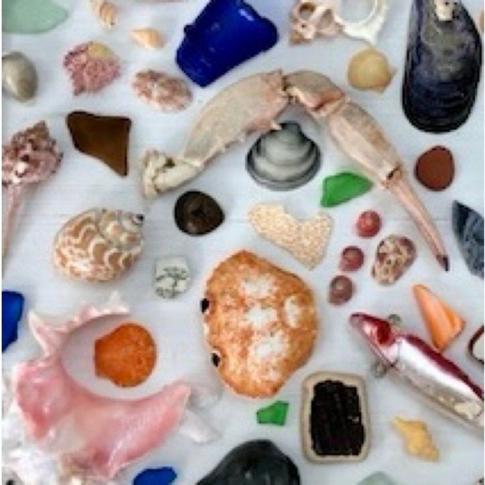 Beautiful Beach Treasures - Picture 5 of 7